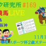 【中央競馬ライブ】１１月１９日（土）ロジック嘘つかない　東京スポーツ杯２歳ステークス　チャンネル登録をお願いします